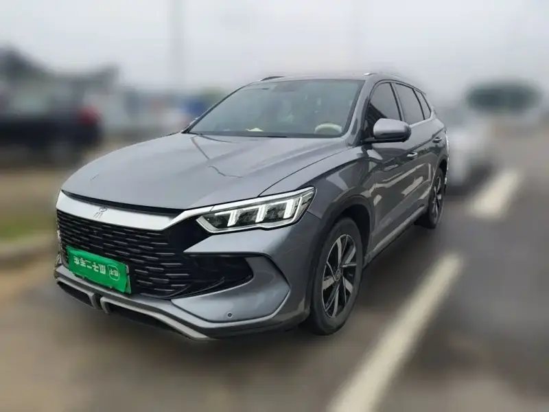 BYD Pro New Energy, 2024