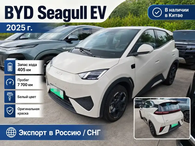 BYD Seagull, 2025
