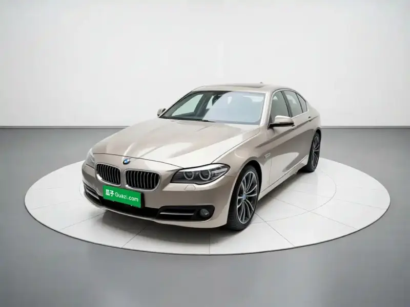 BMW 5 Series BMW 5 Series 2014 528Li Leading Type, 2015 — фото 1