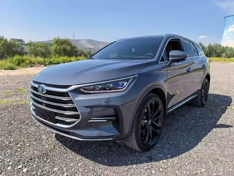 BYD Tang New Energy, 2021