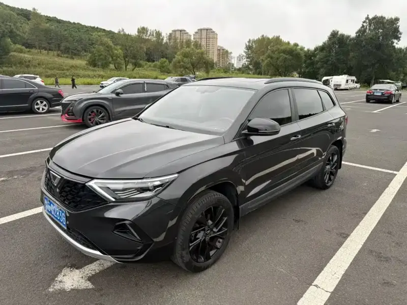 Jetta VS7, 2022