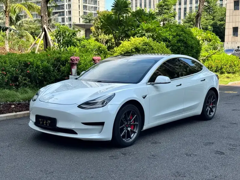 Tesla Model 3, 2020