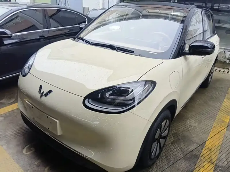 Wuling Bingo, 2026