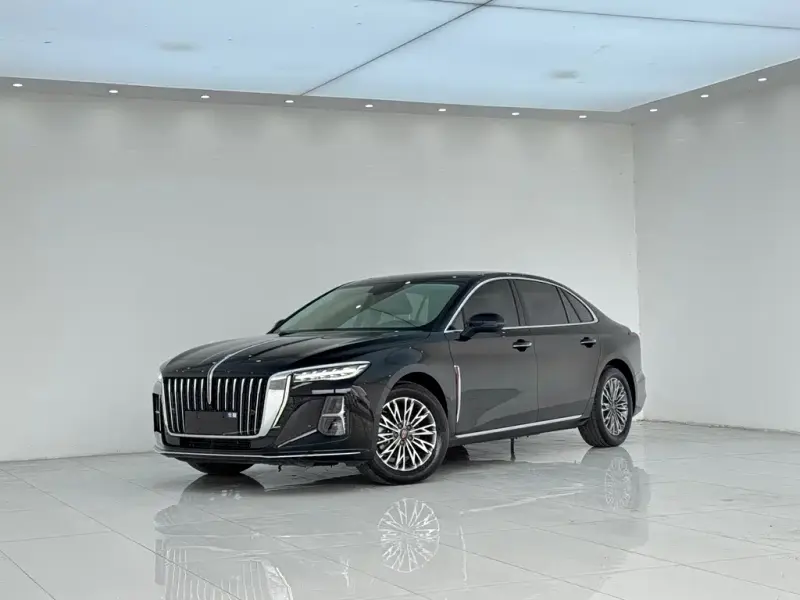 Hongqi H5, 2024
