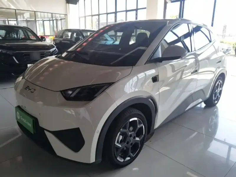 BYD Seagull, 2025