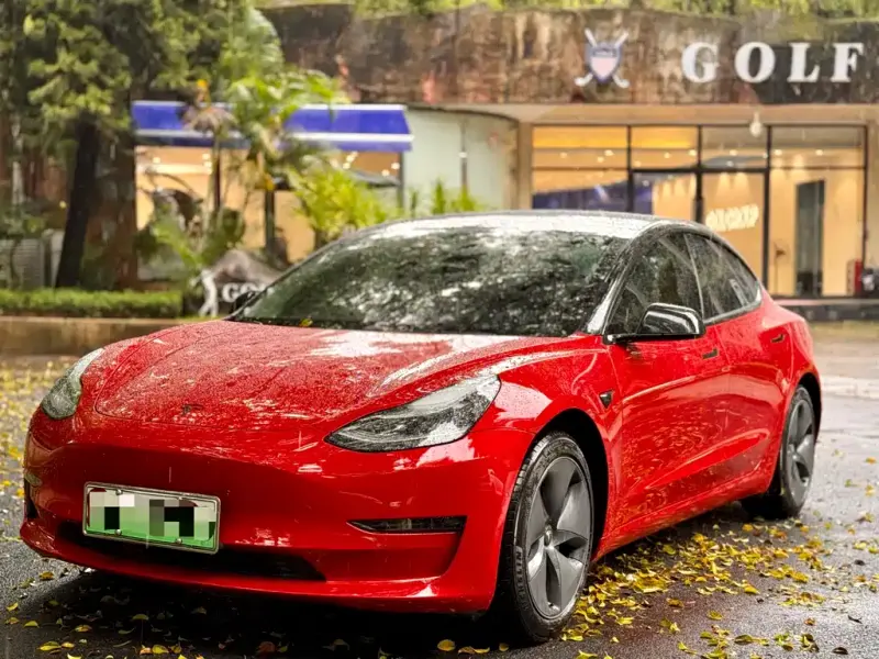 Tesla Model 3, 2020