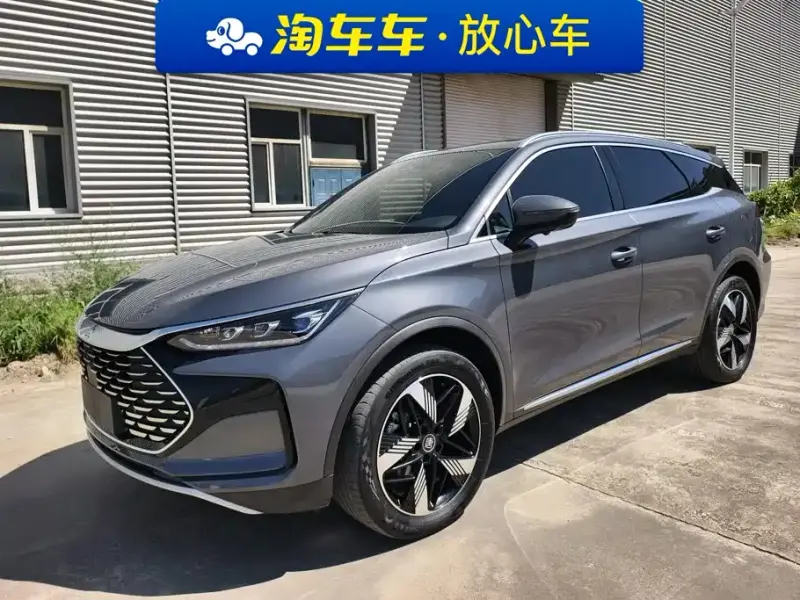 BYD Tang New Energy, 2024
