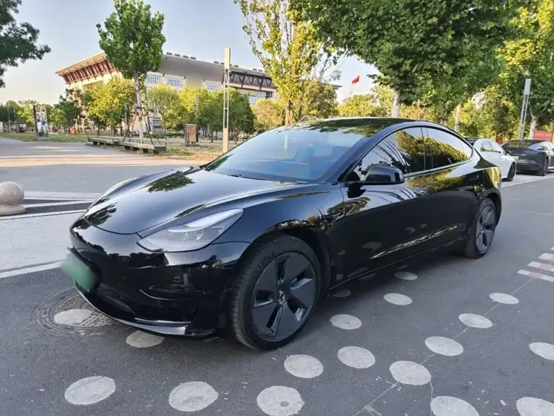 Tesla Model 3, 2021