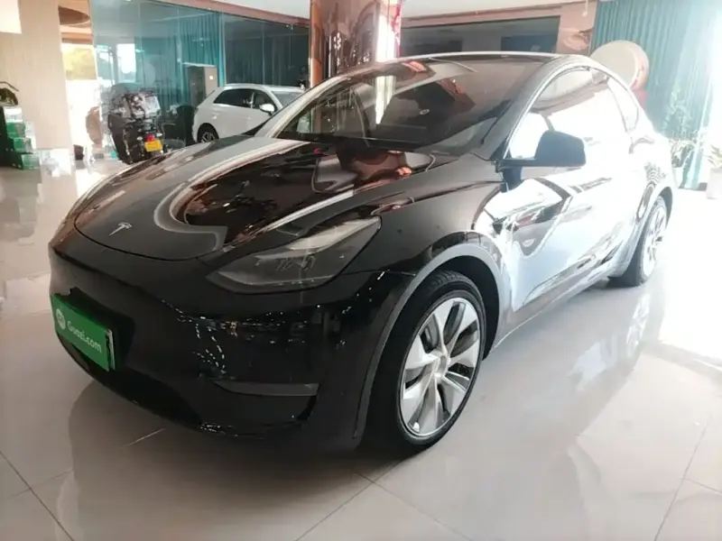 Tesla Model Y, 2021