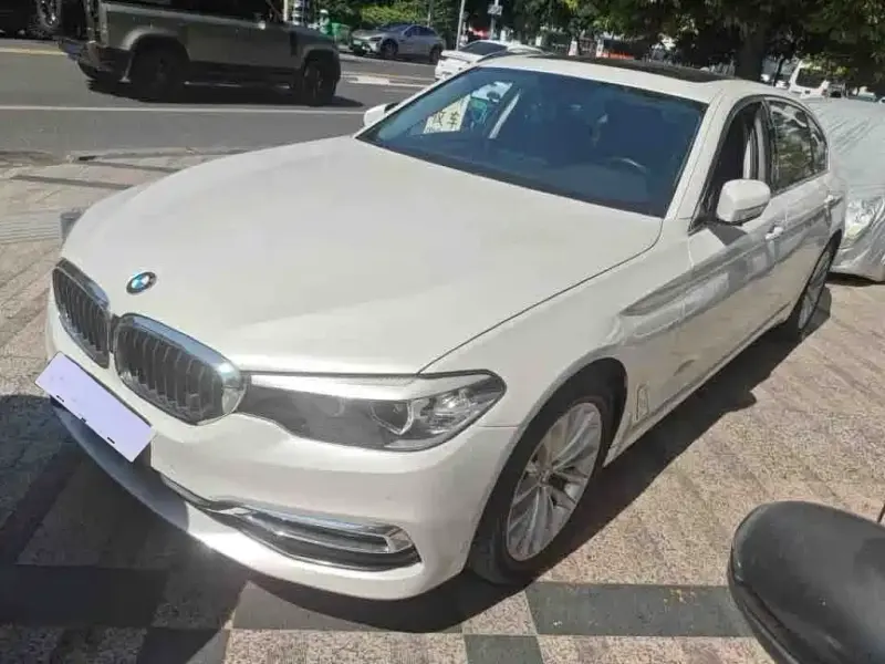 BMW 5 Series BMW 5 Series 2018 Facelift 530Li Leading Type Luxury Package, 2018 — фото 1