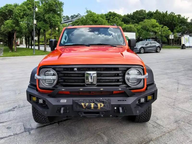 Tank 300, 2021