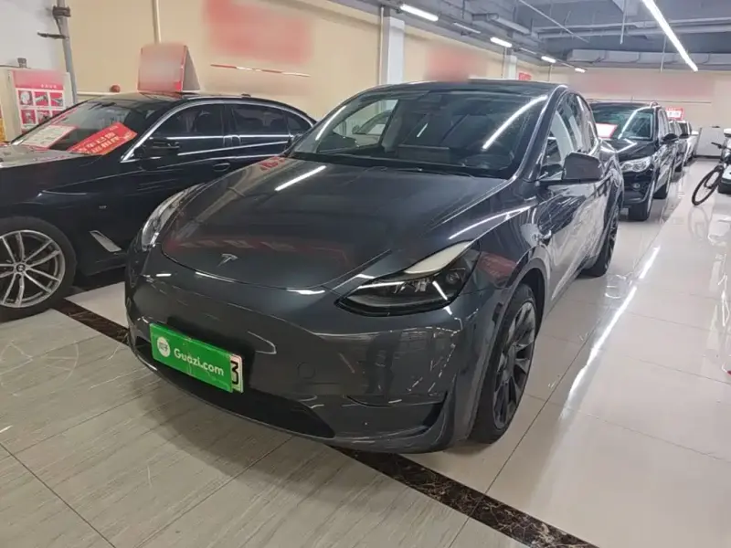 Tesla Model Y, 2021