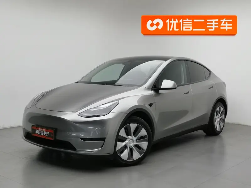 Tesla Model Y Edition, 2022 — фото 1