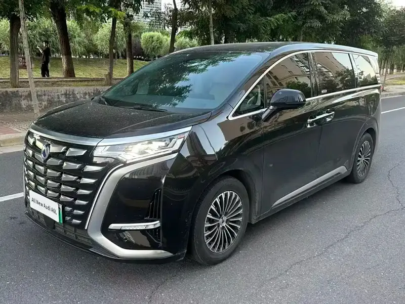 Denza D9, 2023