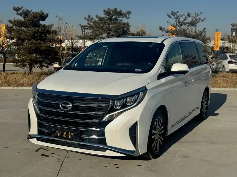 GAC Motor Trumpchi M8, 2021