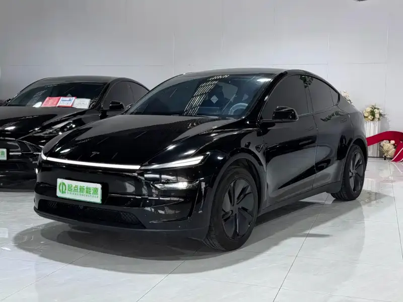 Tesla Model Y, 2025