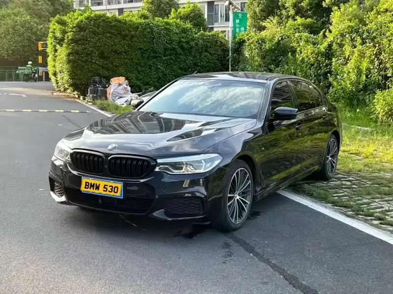 BMW 5 Series, 2020