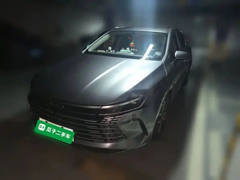 BYD Destroyer 05, 2024