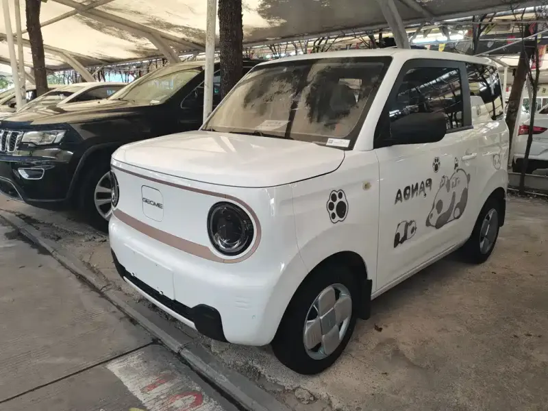 Galaxy Panda, 2024