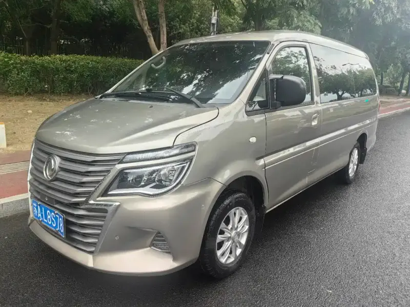 Fengxing Lingzhi, 2020