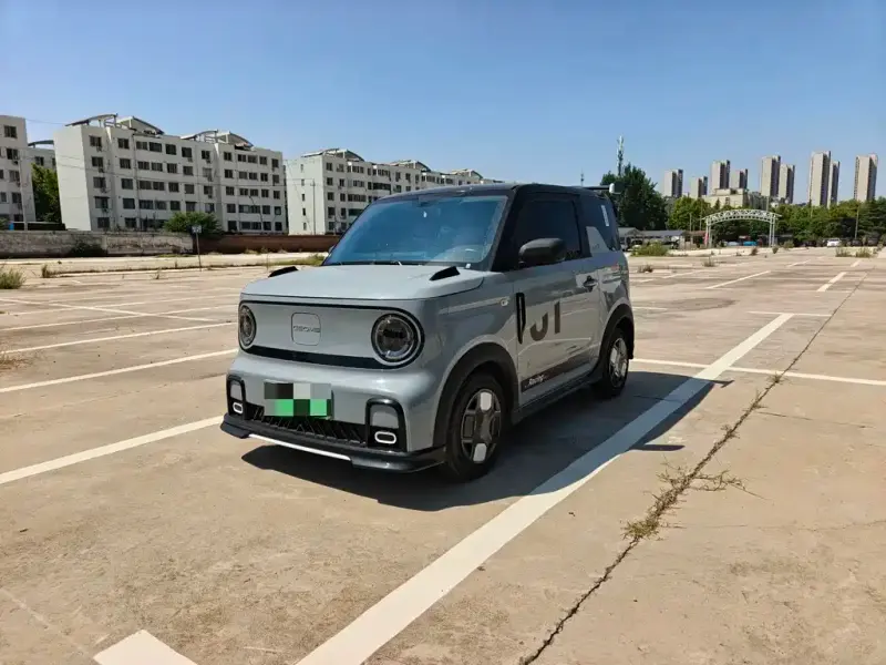 Galaxy Panda, 2024