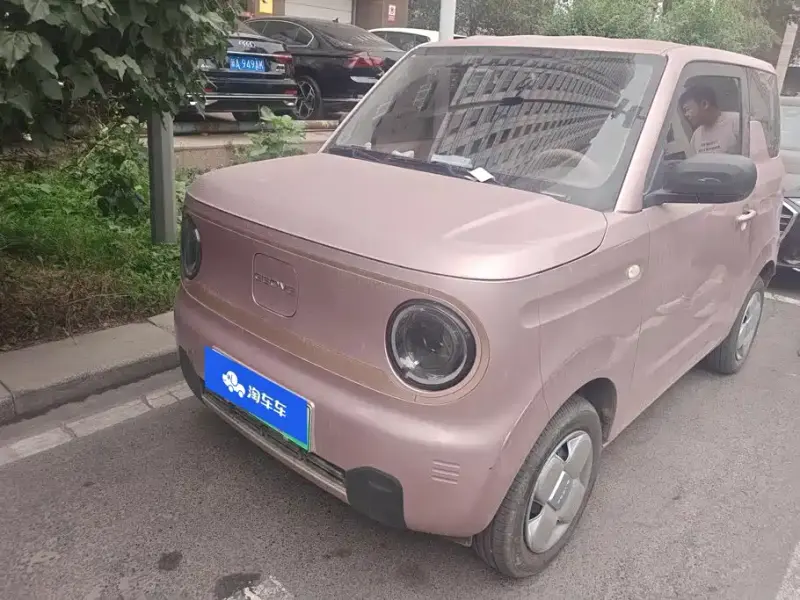 Galaxy Panda, 2025