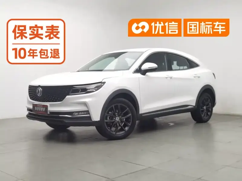 Fengguang ix5, 2019