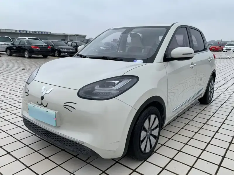 Wuling Bingo, 2023