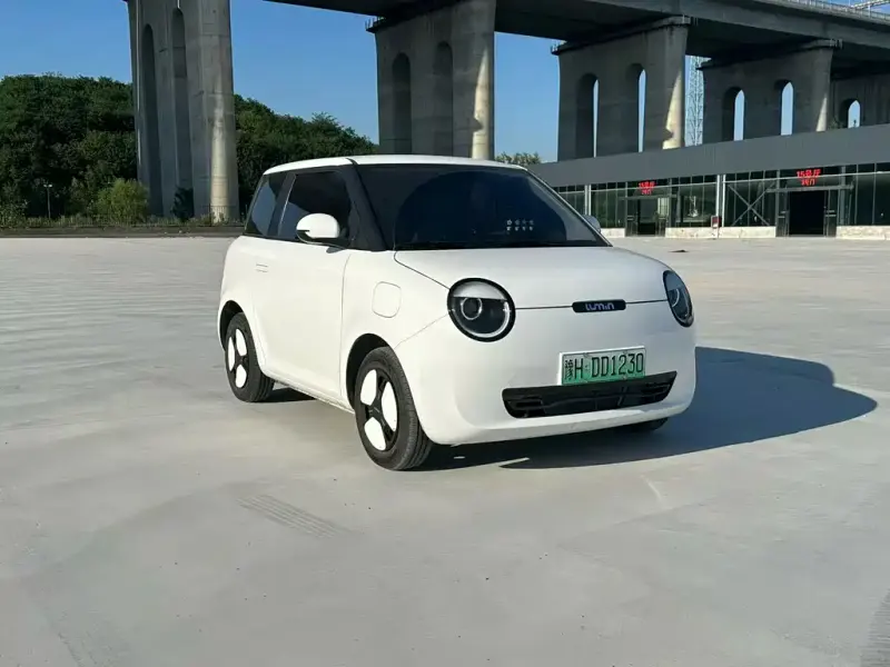 Qiyuan Lumin, 2024