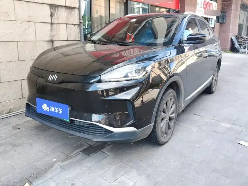 WM Motor EX5, 2020