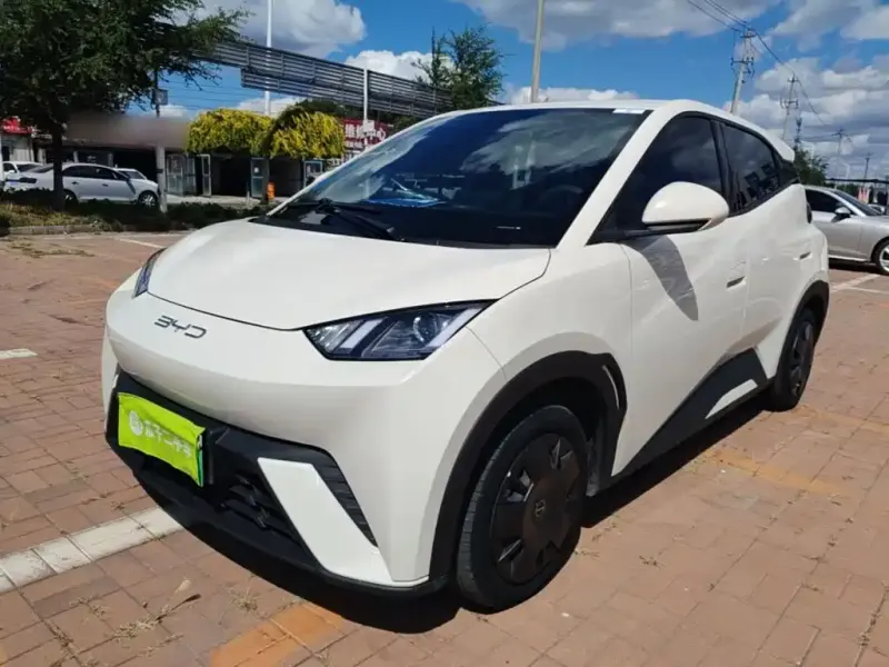 BYD Seagull, 2023