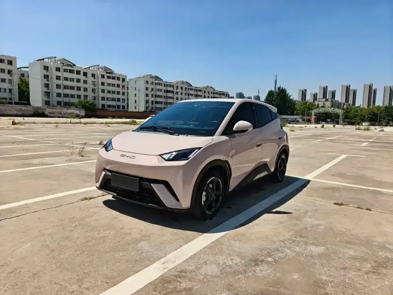 BYD Seagull, 2023