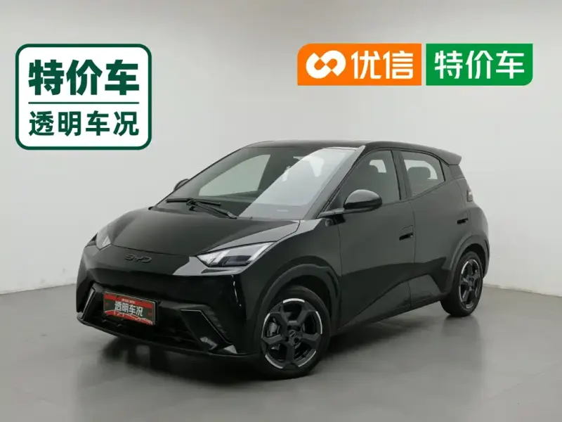 BYD Seagull, 2024