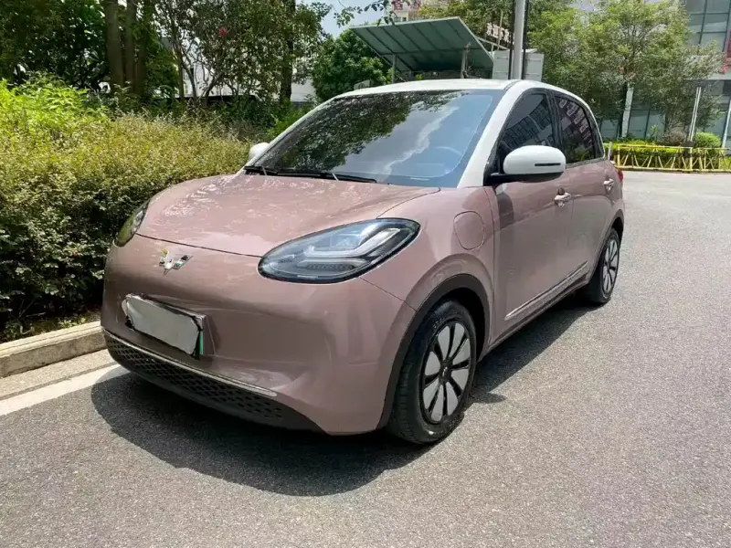 Wuling Bingo, 2023