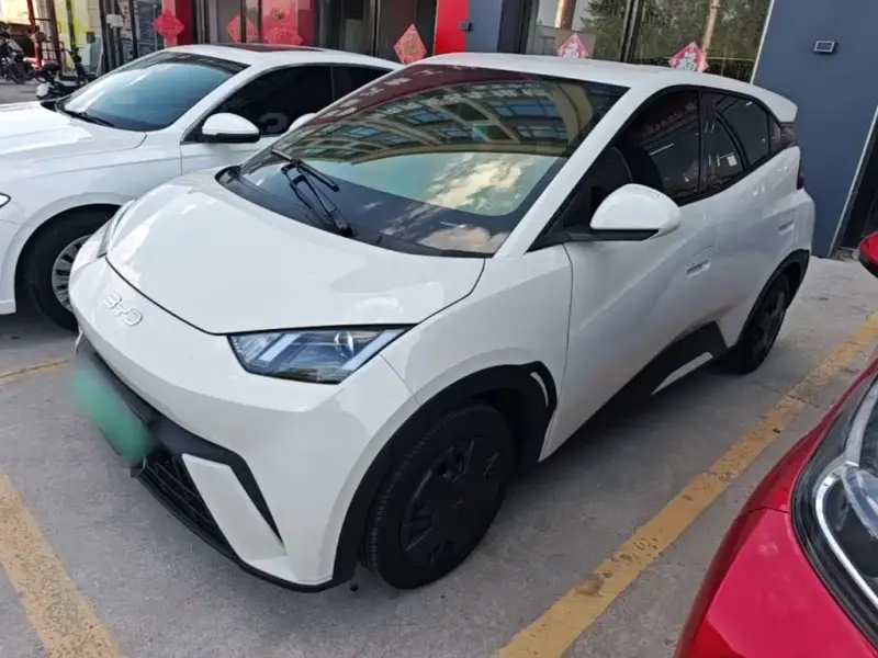 BYD Seagull, 2024