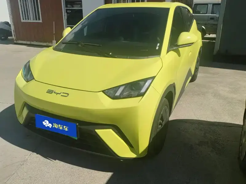 BYD Seagull, 2024