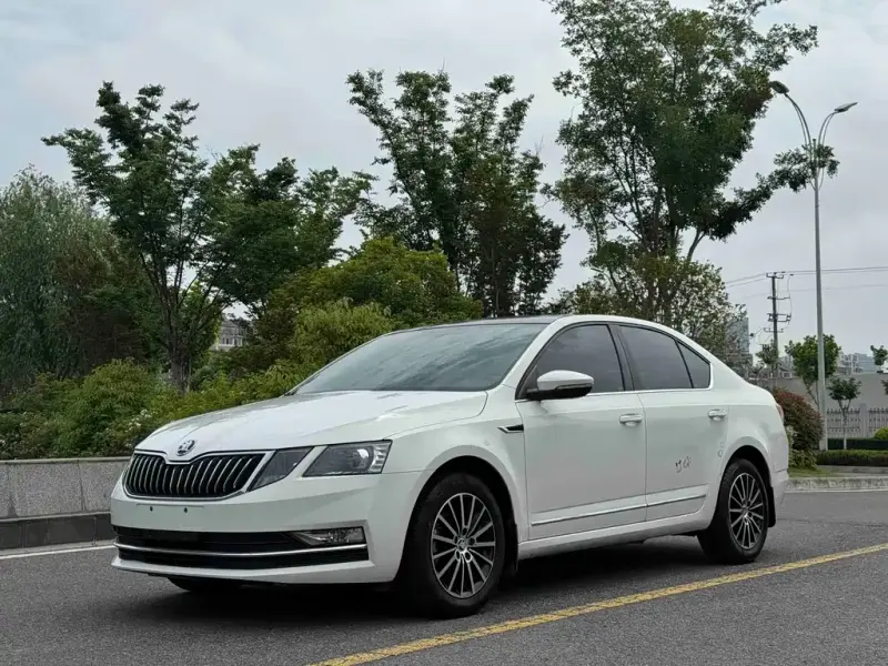 Skoda Octavia Skoda Octavia 2019 TSI230 DSG Luxury Edition, 2018 — фото 1