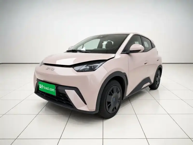 BYD Seagull, 2024