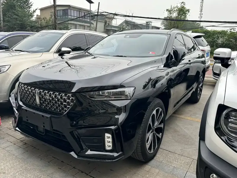 Wey VV7, 2019