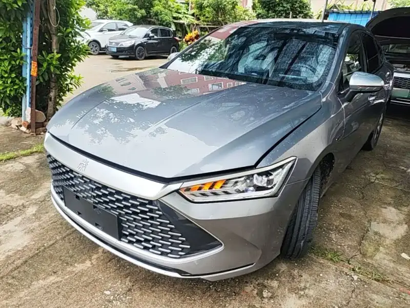 BYD Qin PLUS, 2024