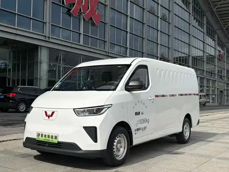 Wuling Yangguang, 2024