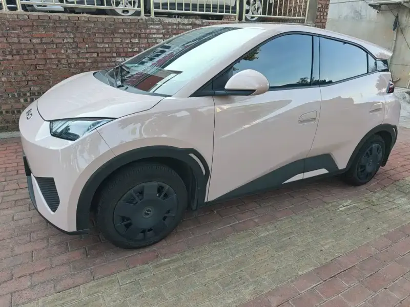 BYD Seagull, 2025