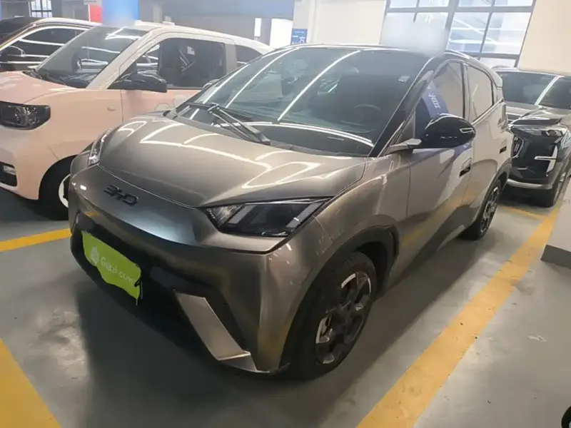 BYD Seagull, 2024