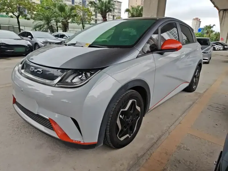 BYD Dolphin, 2022
