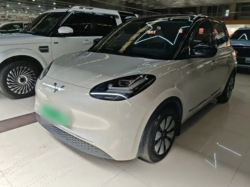 Wuling Bingo, 2024