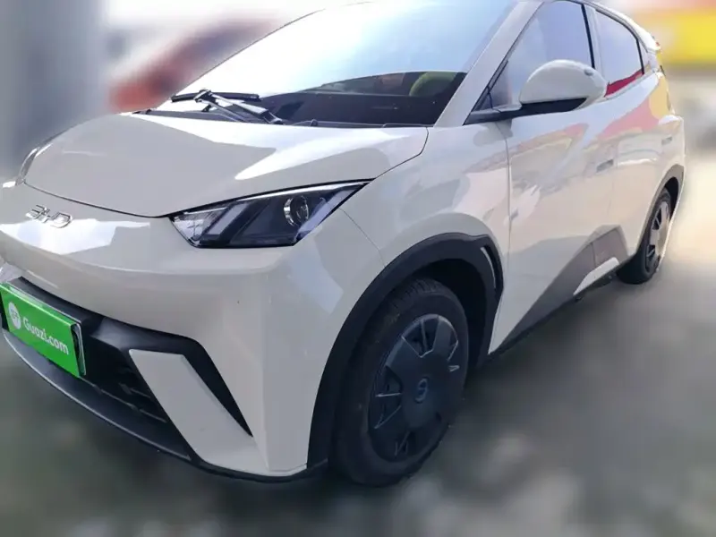 BYD Seagull, 2024