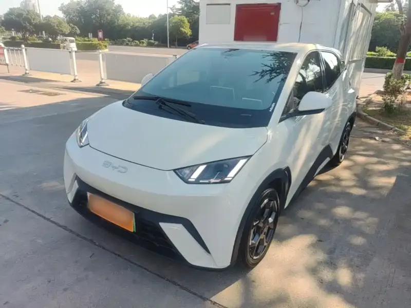 BYD Seagull, 2024
