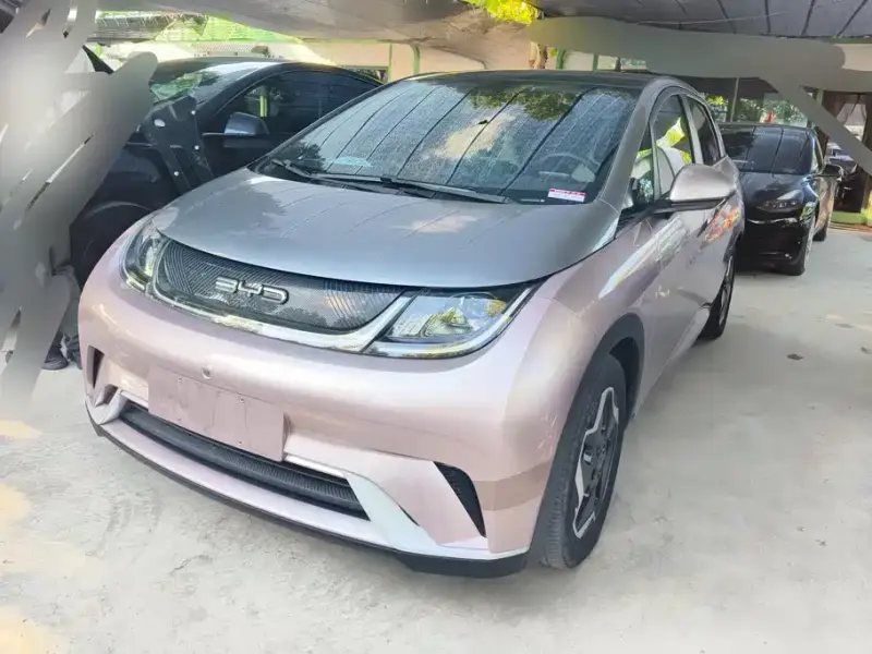 BYD Dolphin, 2022