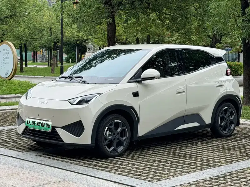 BYD Seagull, 2025