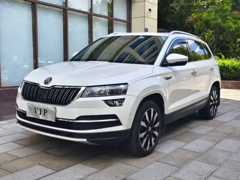 Skoda Karoq, 2020